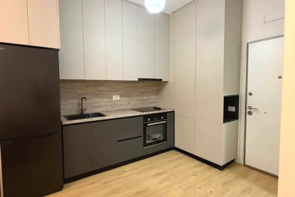 Shtepi me qera Apartament ne Tirane, 1+1, Mobilimi E mobiluar, Pagesa 45,000  Leke.
