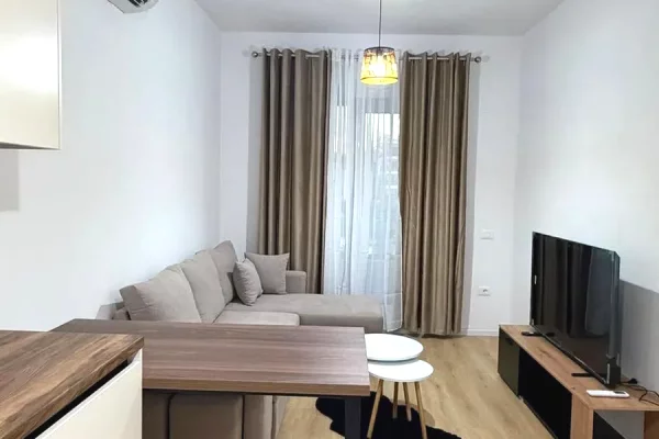 House for Rent Apartment in Tirana, 1+1, Furniture Furnished, Payment 45,000  Leke.