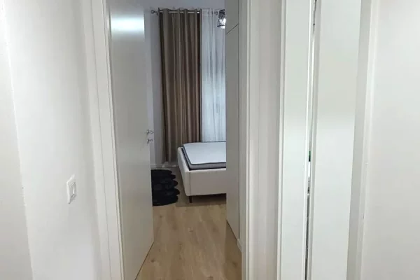 House for Rent Apartment in Tirana, 1+1, Furniture Furnished, Payment 45,000  Leke.