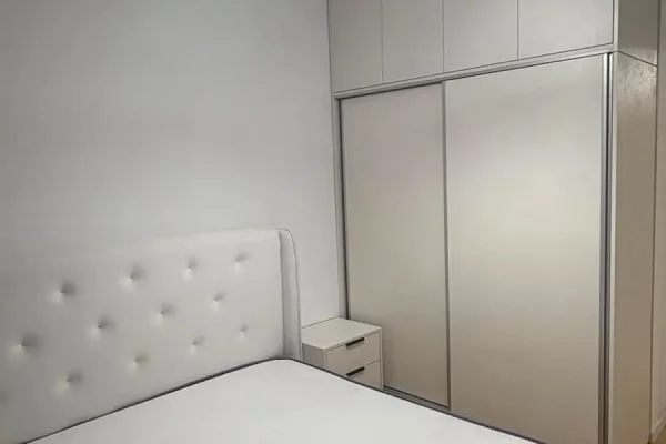 House for Rent Apartment in Tirana, 1+1, Furniture Furnished, Payment 45,000  Leke.
