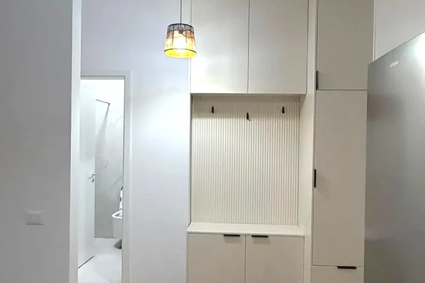 House for Rent Apartment in Tirana, 1+1, Furniture Furnished, Payment 45,000  Leke.