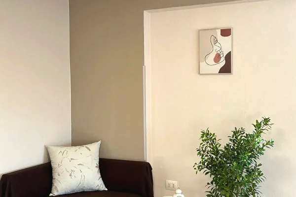Shtepi me qera Duplex(shtepi me 2 kate) ne Tirane, 2+1, Mobilimi E mobiluar, Pagesa 50,000  Leke.