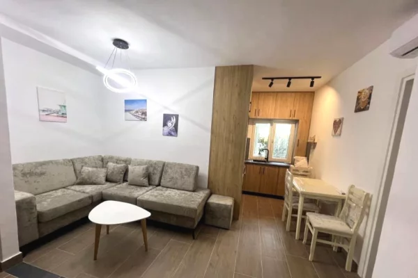 Shtepi ne shitje Apartament ne Tirane, 1+1, Mobilimi E mobiluar, Pagesa 120,000  Euro.