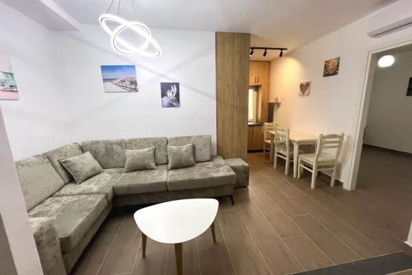 Shtepi ne shitje Apartament ne Tirane, 1+1, Mobilimi E mobiluar, Pagesa 120,000  Euro.