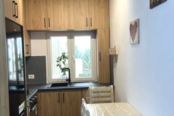 Shtepi ne shitje Apartament ne Tirane, 1+1, Mobilimi E mobiluar, Pagesa 120,000  Euro.
