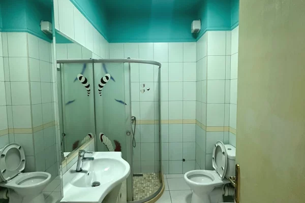 Shtepi me qera Apartament ne Tirane, 3+1, Mobilimi E mobiluar, Pagesa 55,000  Leke.