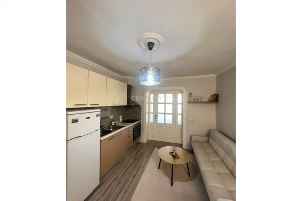 Shtepi me qera Apartament ne Tirane, 1+1, Mobilimi E mobiluar, Pagesa 500  Euro.