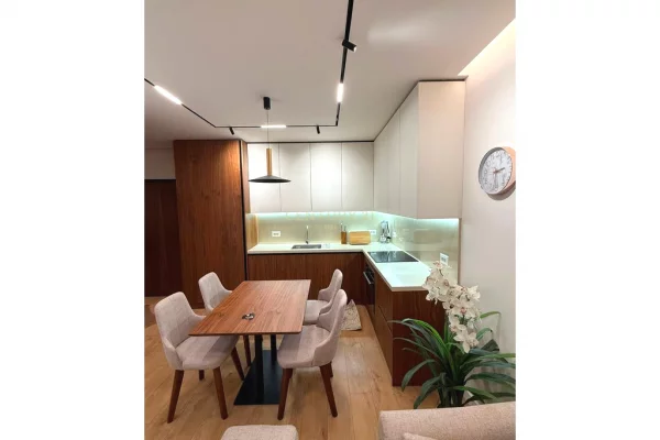Shtepi me qera Apartament ne Tirane, 1+1, Mobilimi E mobiluar, Pagesa 65,000  Leke.