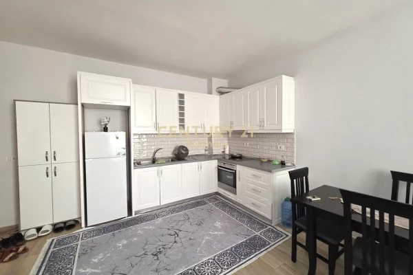 Shtepi ne shitje Apartament ne Tirane, 1+1, Mobilimi E mobiluar, Pagesa 111,000  Euro.
