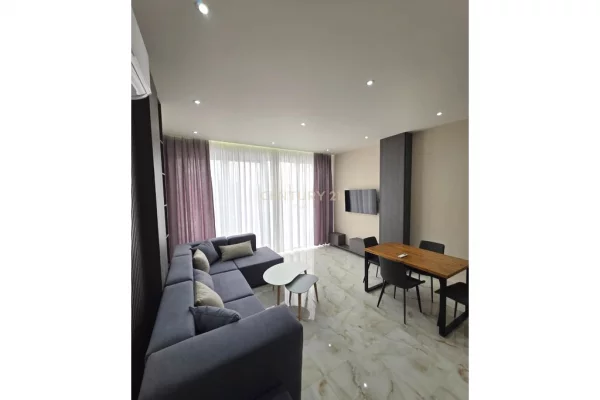 Shtepi me qera Apartament ne Tirane, 1+1, Mobilimi E mobiluar, Pagesa 60,000  Leke.