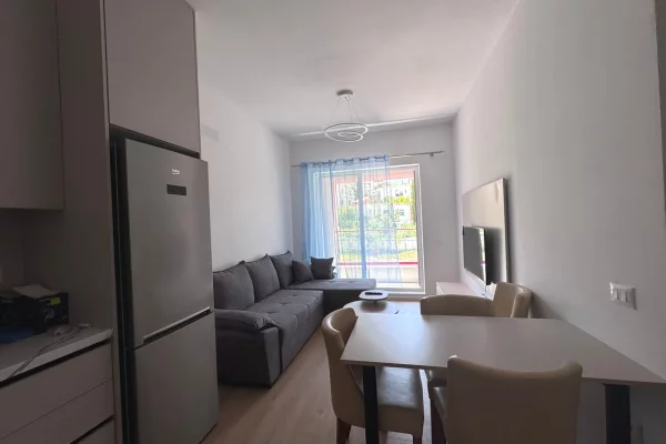 Shtepi me qera Apartament ne Tirane, 1+1, Mobilimi E mobiluar, Pagesa 55,000  Leke.