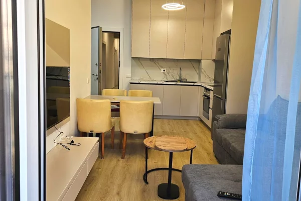 Shtepi me qera Apartament ne Tirane, 1+1, Mobilimi E mobiluar, Pagesa 55,000  Leke.