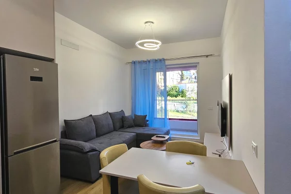 Shtepi me qera Apartament ne Tirane, 1+1, Mobilimi E mobiluar, Pagesa 55,000  Leke.