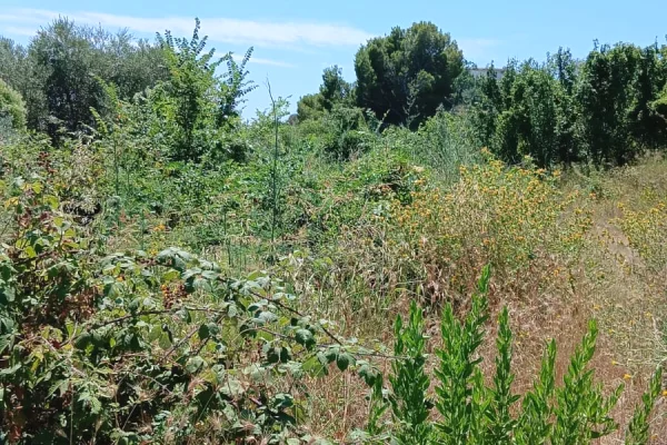 Land for Sale in Durres - 180,000 Euro