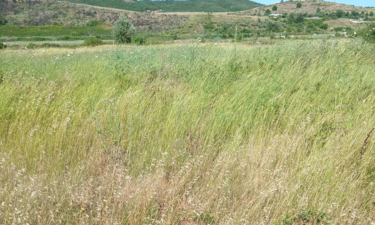 SHITET TOKE 4375 m2 NE GJIRIN E LALZIT,150 M LARG MELIA RESORT