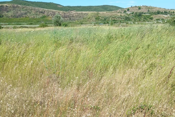 Land for Sale in Durres - 481,250 Euro