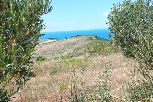 Land for Sale in Durres - 584,000 Euro