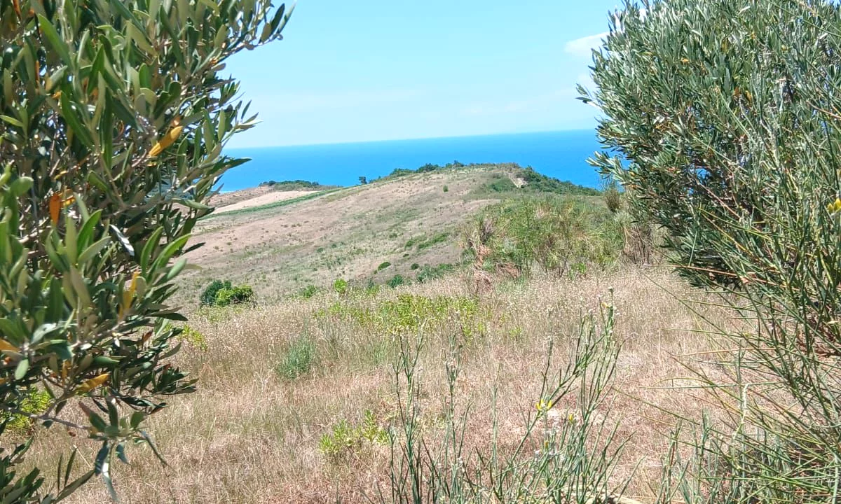 SHITET TOKE ULLISHTE 14600m2 ,,NE ZEMER TE KEPIT TE RODONIT