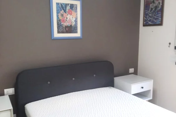 Shtepi me qera Apartament ne Tirane, 1+1, Mobilimi E mobiluar, Pagesa 70,000  Leke.