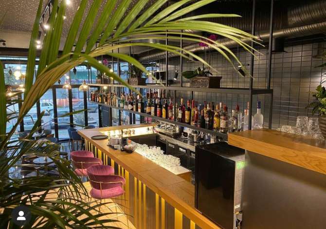 Offerte di lavoro a Tirana, Profession Banakier/e , , Pagamento Trattabile.