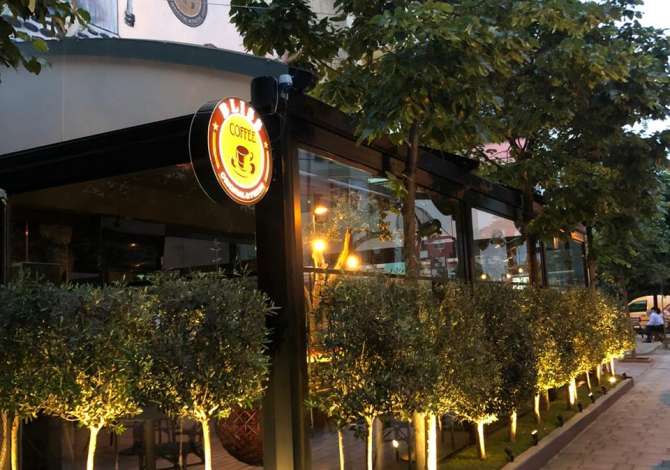 Offerte di lavoro a Tirana, Profession  Kuzhinier/e dhe Kamarier/e , , Pagamento Trattabile.