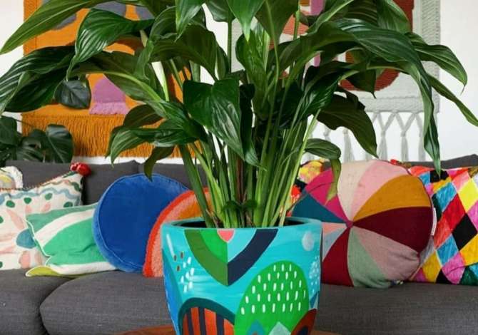 Offerte di lavoro a Tirana, Profession Mjeshter guri dhe mermeri , , Pagamento 1,000  Euro.