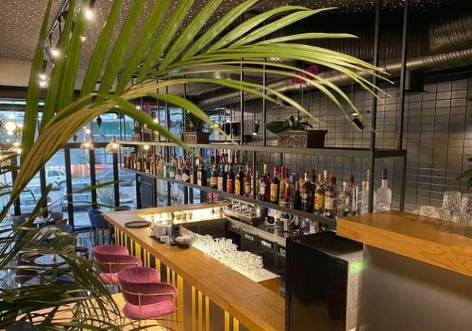 Njoftime Pune per Kamarier/e, Kujdestare lodrash ne Tirane