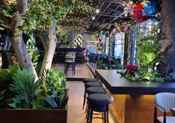 Offerte di lavoro a Tirana, Profession Menaxher/e Stafi, Kamarier/e, Banakier/e, Hostes/e, Sanitare , , Pagamento Trattabile.