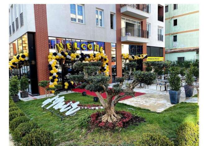 Offerte di lavoro a Tirana, Profession Banakier/e, Kamarier/e , , Pagamento 40,000  Leke.