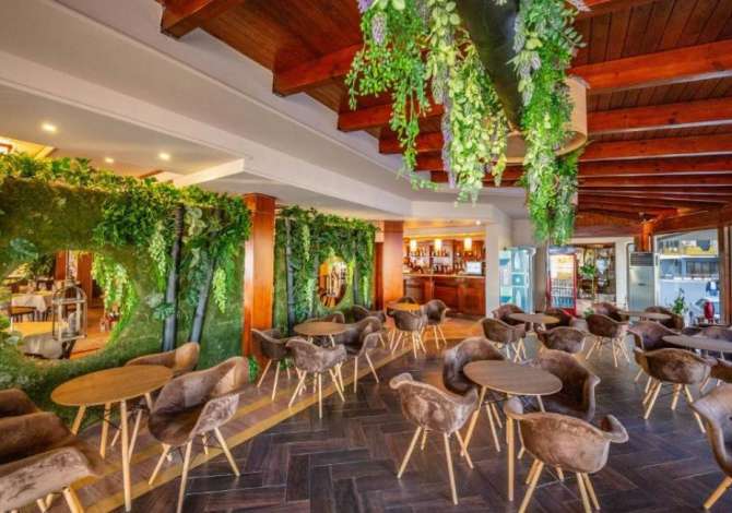 Njoftime Pune per Ekonomiste, Specialiste Marketingu, Kuzhinier, Ndihmes Kuzhinier, Picier, Banakier/e, Kamarier/e Restoranti, Kamarier/e Bari, Pjatalarese, Sanitare ne Durres