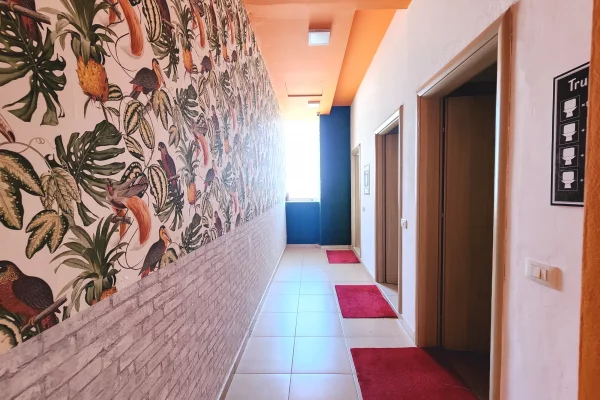 ZYRA ME QERA 440M2 PRANE DELIJORGJIT