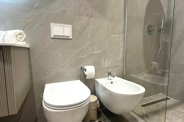 Shtepi me qera Apartament ne Tirane, 2+1, Mobilimi E mobiluar, Pagesa 60,000  Leke.