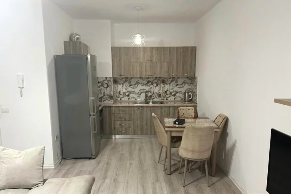 Shtepi me qera Apartament ne Tirane, 1+1, Mobilimi E mobiluar, Pagesa 60,000  Leke.