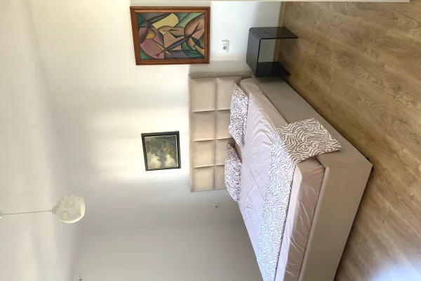 Shtepi me qera Apartament ne Tirane, 1+1, Mobilimi E mobiluar, Pagesa 65,000  Leke.