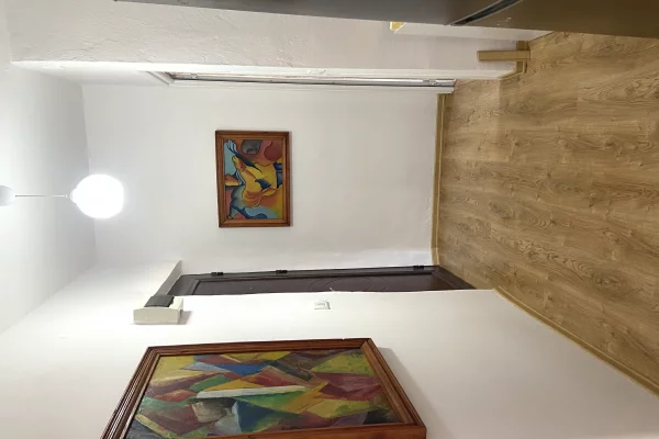 Shtepi me qera Apartament ne Tirane, 1+1, Mobilimi E mobiluar, Pagesa 65,000  Leke.