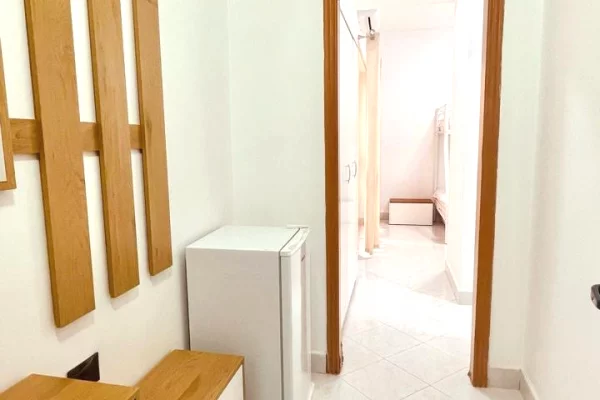 Shtepi me qera Apartament ne Tirane, Garsoniere, Mobilimi E mobiluar, Pagesa 32,000  Leke.