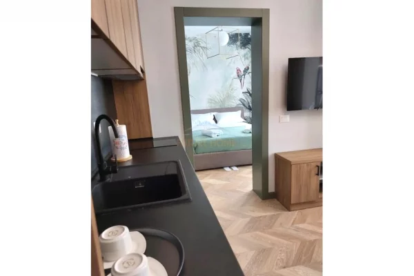 Shtepi me qera Apartament ne Tirane, 1+1, Mobilimi E mobiluar, Pagesa 65,000  Leke.