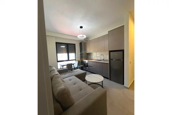 Shtepi me qera Apartament ne Tirane, 1+1, Mobilimi E mobiluar, Pagesa 820  Euro.