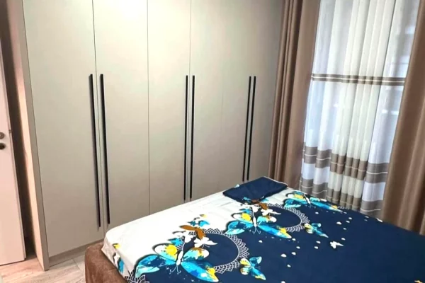 House for Rent Apartment in Tirana, 1+1, Furniture Furnished, Payment 550  Euro.