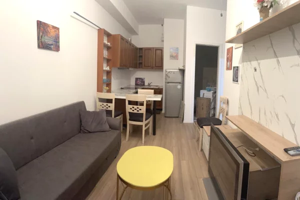 Shtepi me qera Apartament ne Tirane, 1+1, Mobilimi E mobiluar, Pagesa 415  Euro.