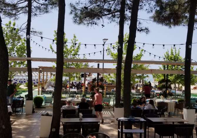 Offerte di lavoro a Durazzo, Profession -Kamarier/e, Banakier/e, Kuzhinier/e , , Pagamento Trattabile.