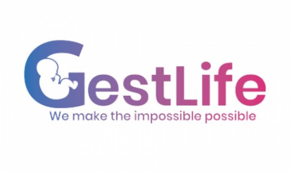 Offerte di lavoro a Tirana, Profession Translator (Portugese, Albanian and Russian, Spanish, French, Italian) , , Pagamento 500  Euro.