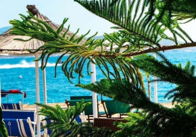 Offerte di lavoro per Kuzhinier/e, Picier/e, Ndihmes/e kuzhiniere a Santa Quaranta