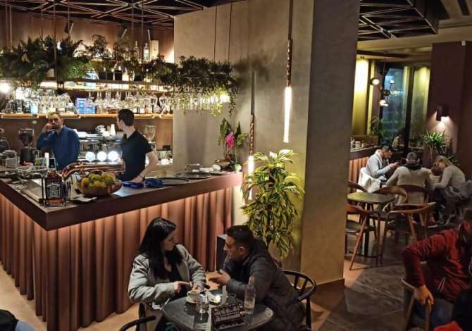 Offerte di lavoro a Tirana, Profession Kamarier/e , , Pagamento Trattabile.