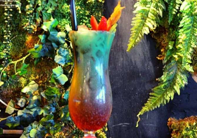 Njoftime Pune per Sanitare ne Tirane