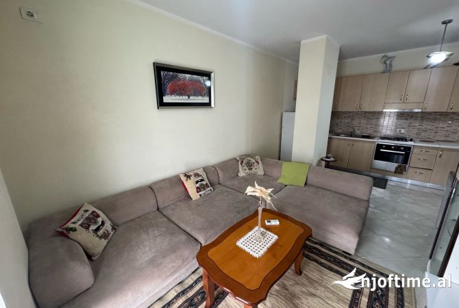 Apartament me qera 1+1 Kinostudio Tek policia 