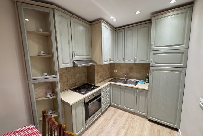 Shtepi me qera Apartament ne Tirane, 1+1, Mobilimi E mobiluar, Pagesa 500  Euro.