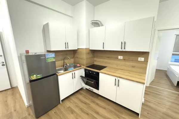 Shtepi me qera Apartament ne Tirane, 1+1, Mobilimi E mobiluar, Pagesa 40,000  Leke.