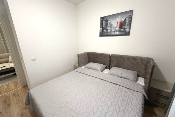 Apartment for rent in Tirana 1+1, Furnished