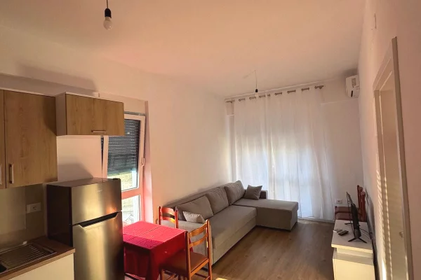 Shtepi me qera Apartament ne Tirane, 1+1, Mobilimi E mobiluar, Pagesa 40,000  Leke.